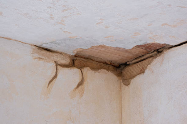 Carpet water damage restoration in Rosebud, SD