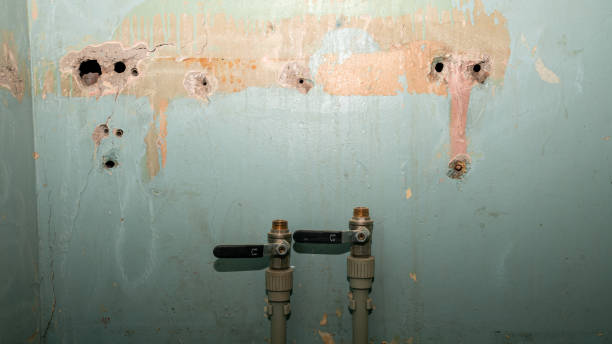 Best Local water damage restoration  in Rosebud, SD