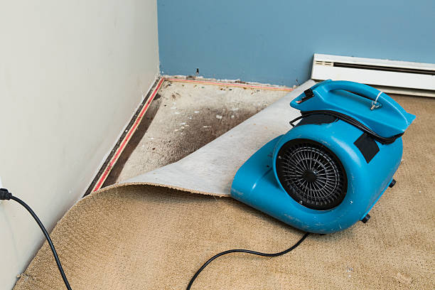 Reliable Rosebud, SD Water damage restoration Solutions